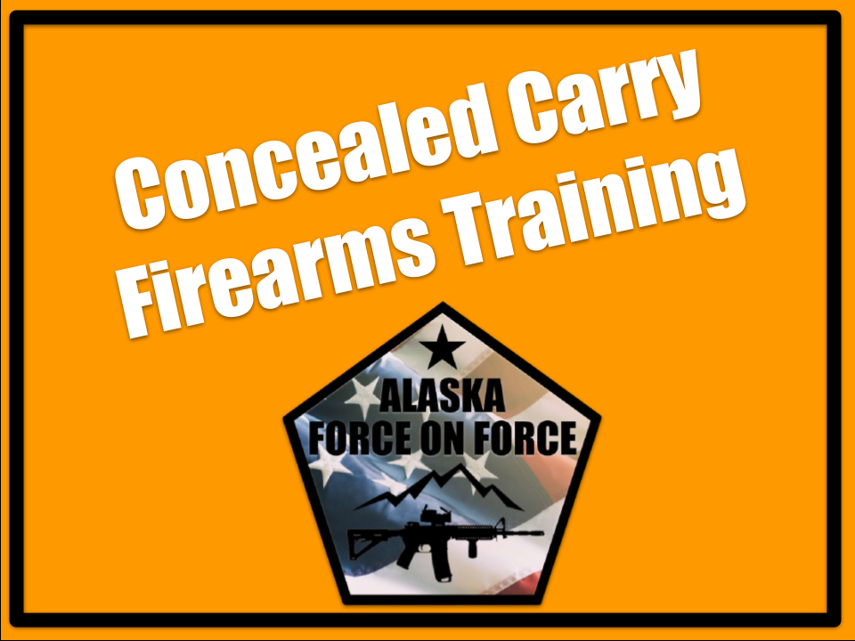 Concealed-Carry-Firearms-Training